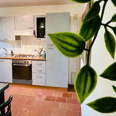 Vicino Polignano A Mare - Ekatos Apartment