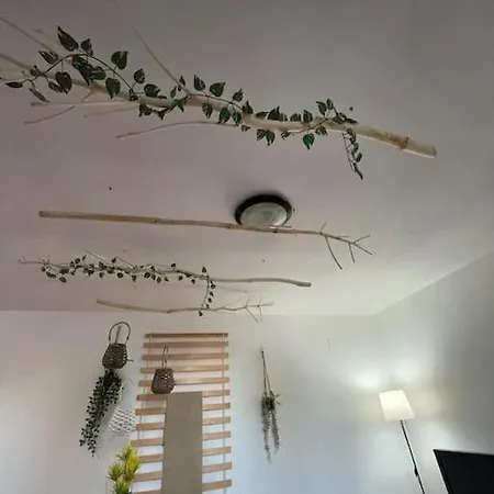 Apartment Vicino Polignano A Mare - Ekatos Triggianello